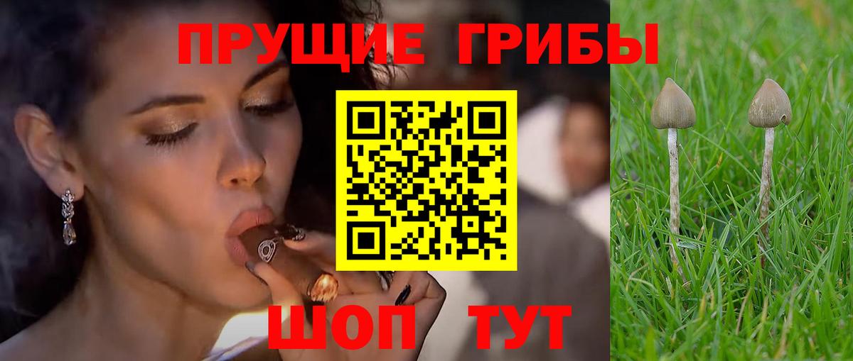Псилоцибиновые грибы Magic Shrooms  где найти   Екатеринбург  Вход с VPN  Псилоцибиновые грибы ЛСД 